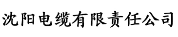 为夫之道》电缆厂logo